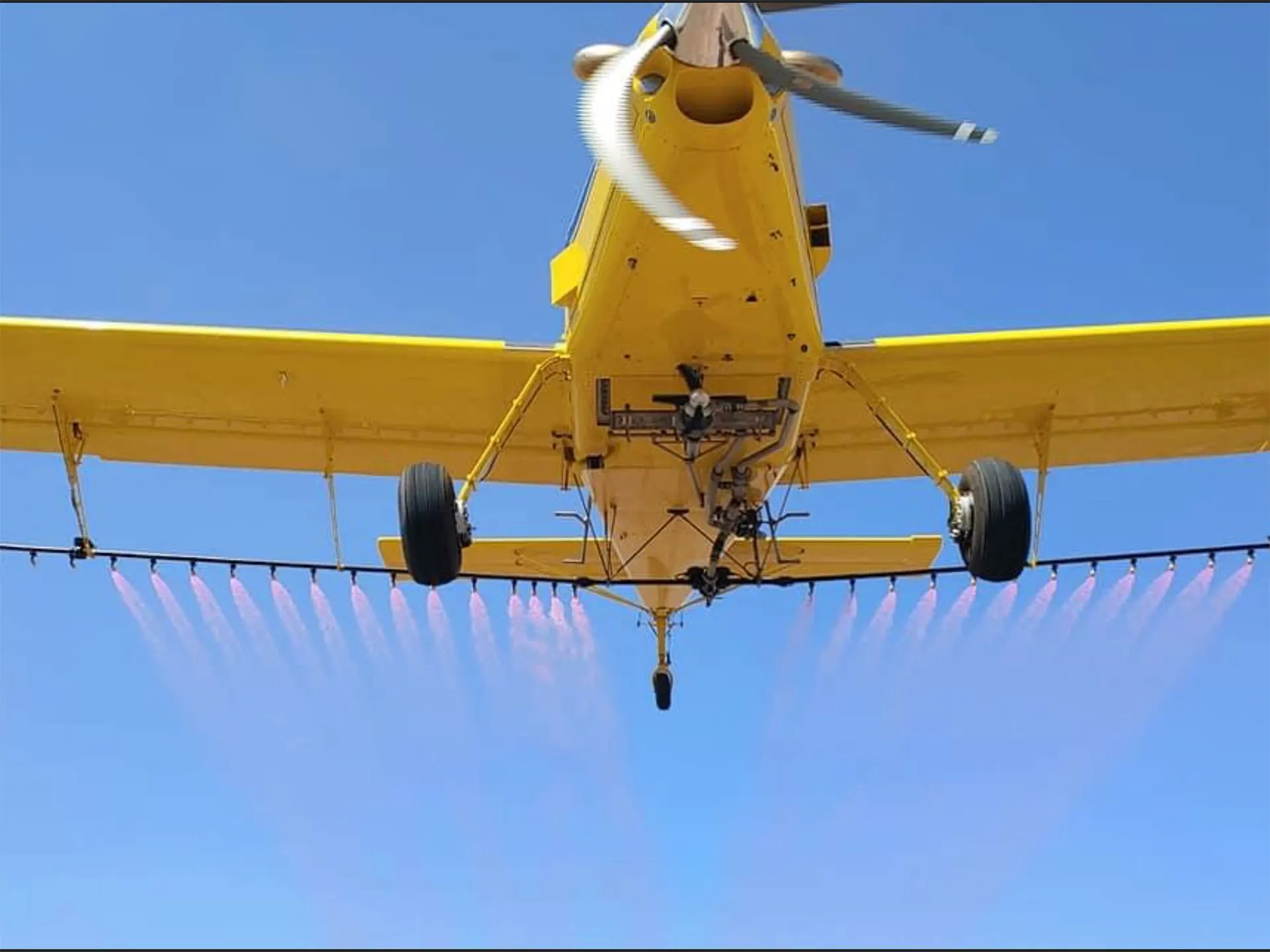 Underside of a yellow spray plane against a blue sky, spray boom releasing mist